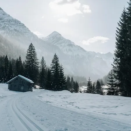 Andrea הולצגאו