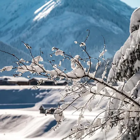 Andrea * 豪尔兹高